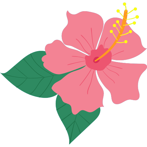 <p><strong>HIBISSUS</strong></p>