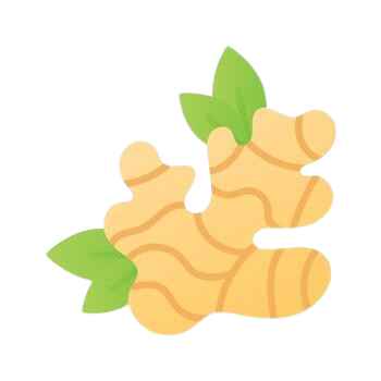 <p><strong>GINGER OIL</strong></p>