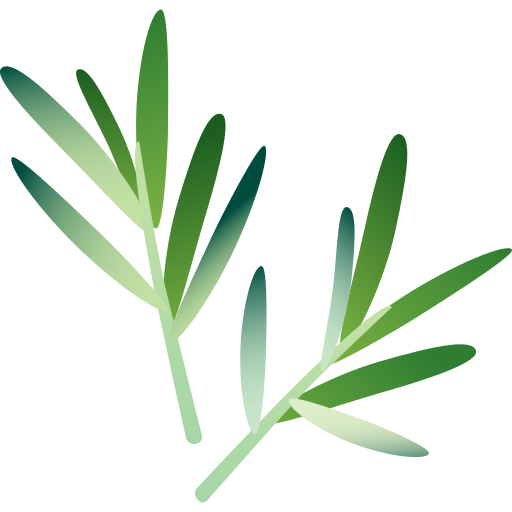 <p><strong>ROSEMARY</strong></p>