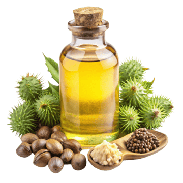 <p><strong>BLACK CASTOR OIL</strong></p>