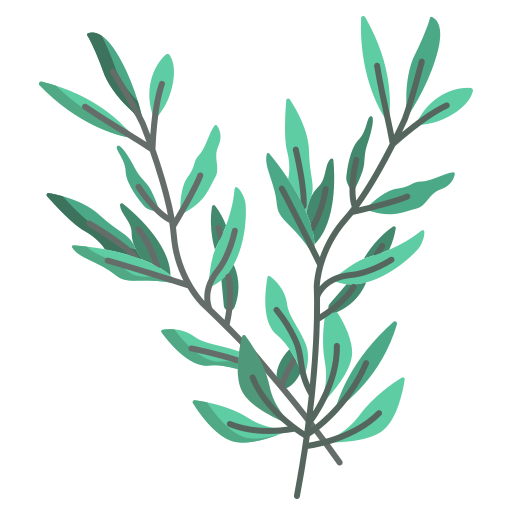 <p><strong>ROSEMARY OIL</strong></p>