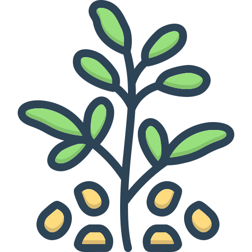 <p><strong>FENUGREEK</strong></p>